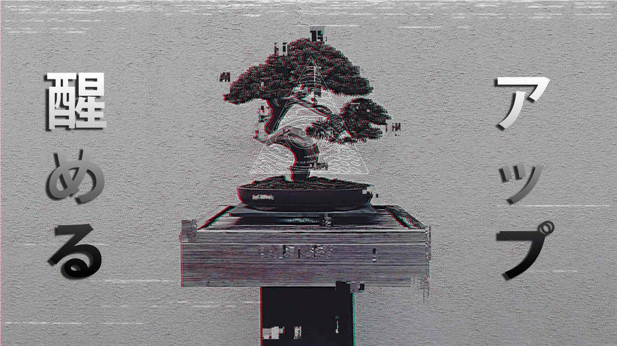 Aesthetic Profile Bonsai Tree Wallpaper