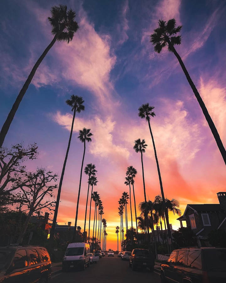 Aesthetic Sunset Boulevard Wallpaper