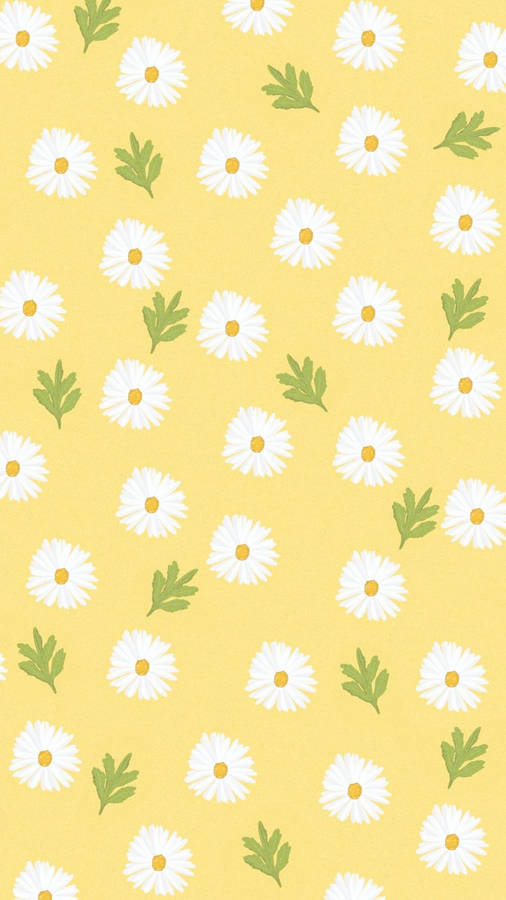 Aesthetic White Daisy Wallpaper