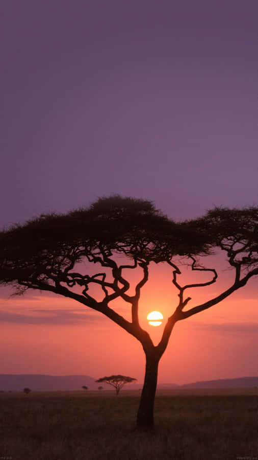 African Landscape Scenery Sunset Iphone Wallpaper