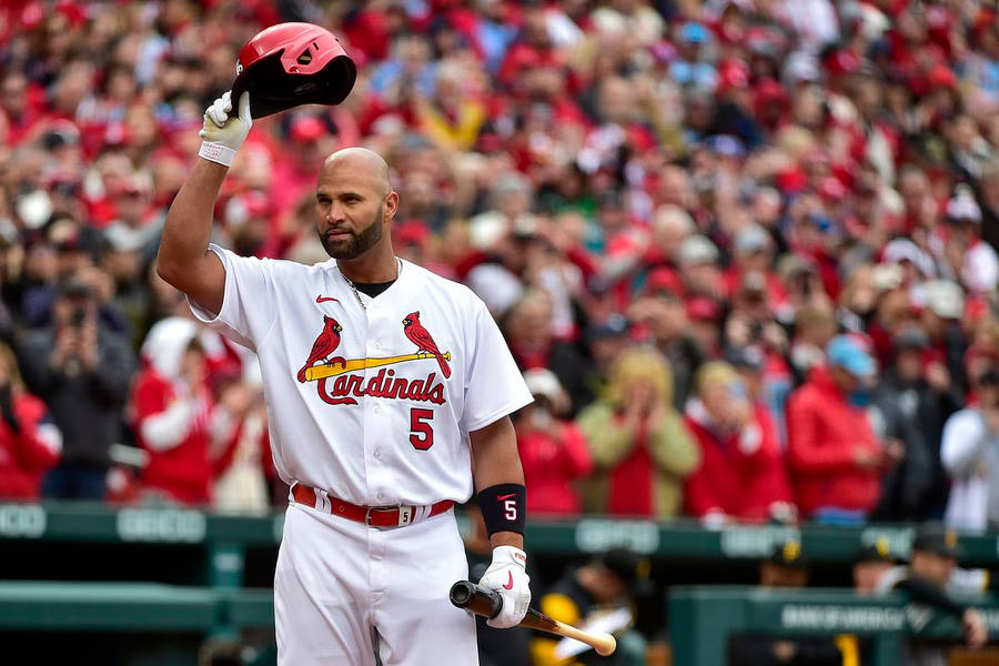 Albert Pujols St Louis Cardinals Wallpaper