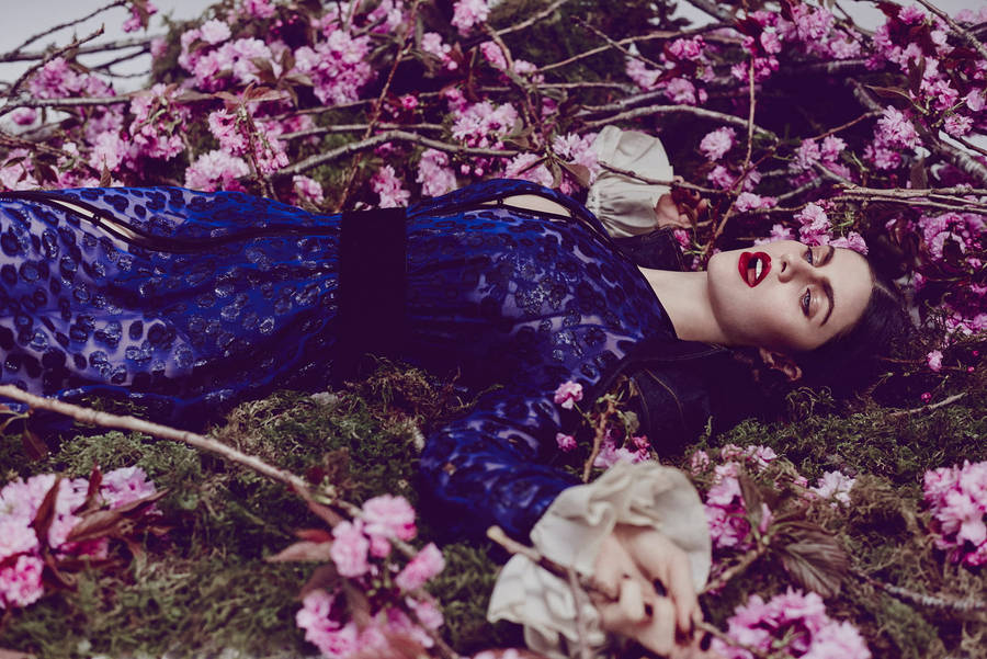 Alexandra Daddario Lying On Moss Wallpaper