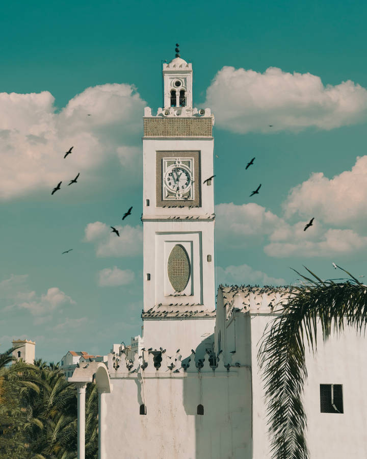 Algeria Building With Birds Wallpaper