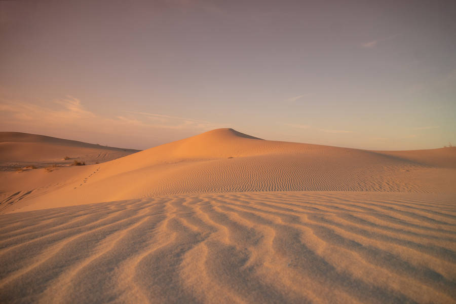 Algeria Desert And Sand Dunes Wallpaper