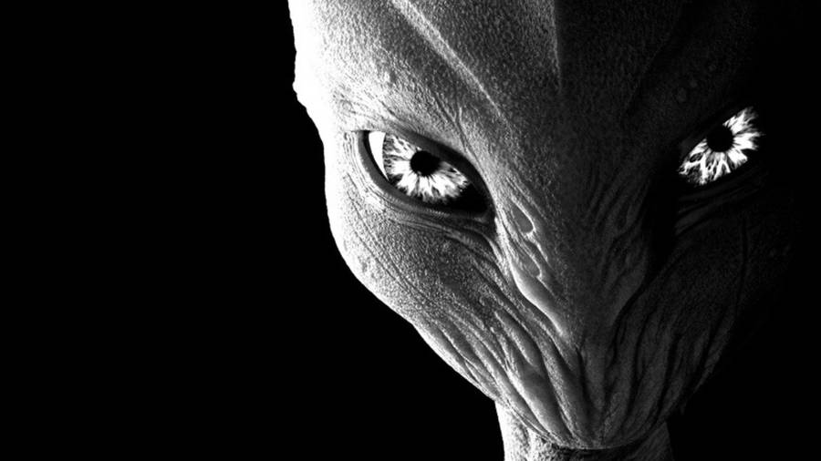 Alien In Black And White Wallpaper