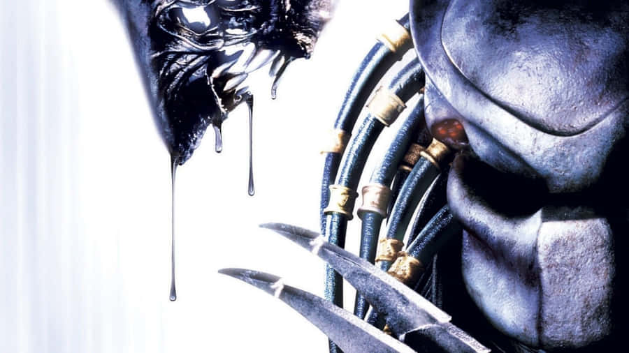 Alien Vs Predator Celtic Close Up Face Wallpaper