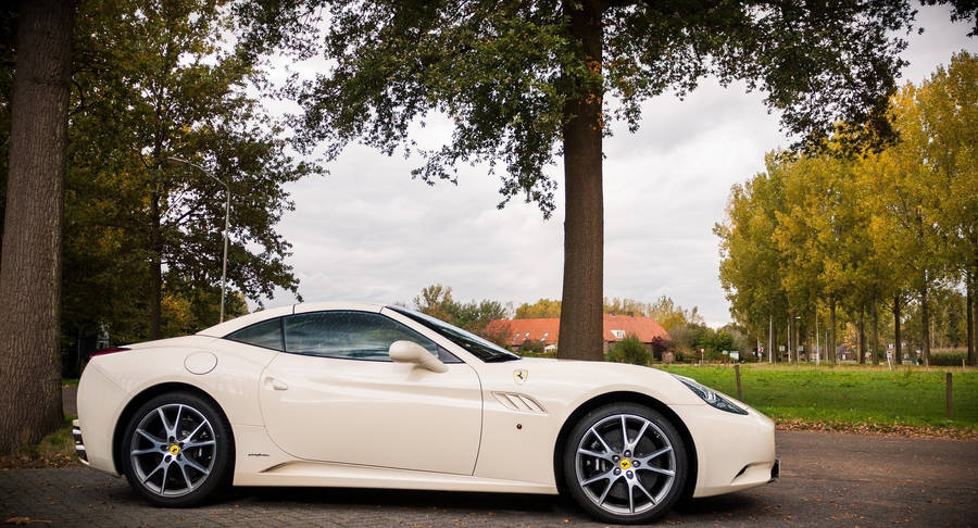 All-white Ferrari Wallpaper