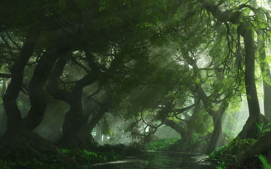 Alluring Dark Green Forest View Wallpaper