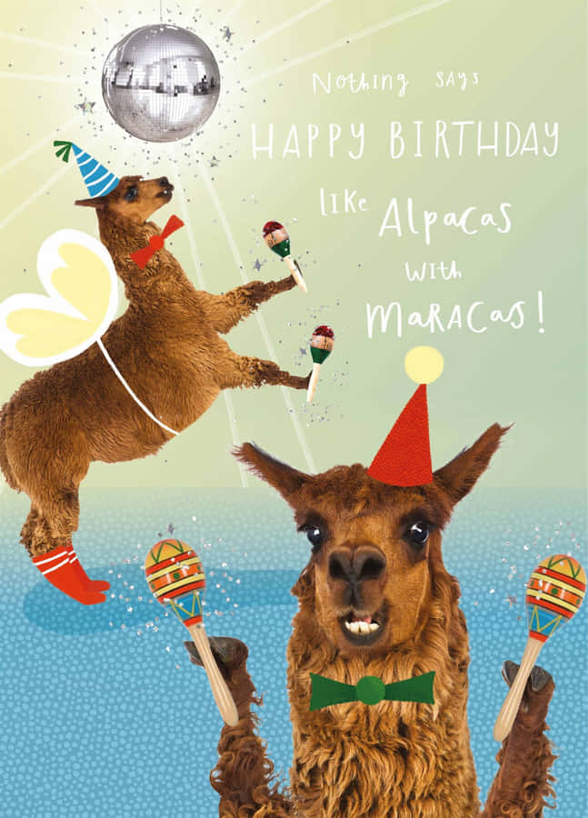 Alpacas Birthday Celebration Maracas Wallpaper