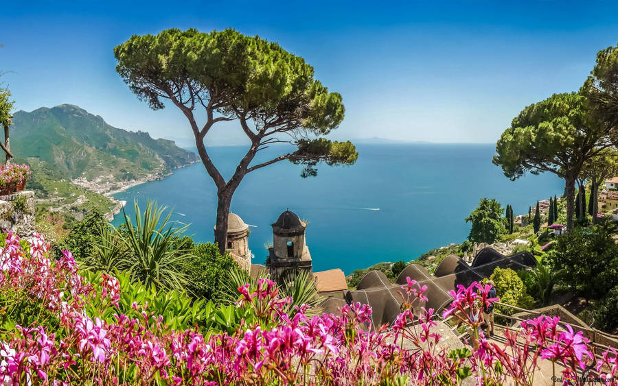 Amalfi Coast Pink Botanical Garden Wallpaper