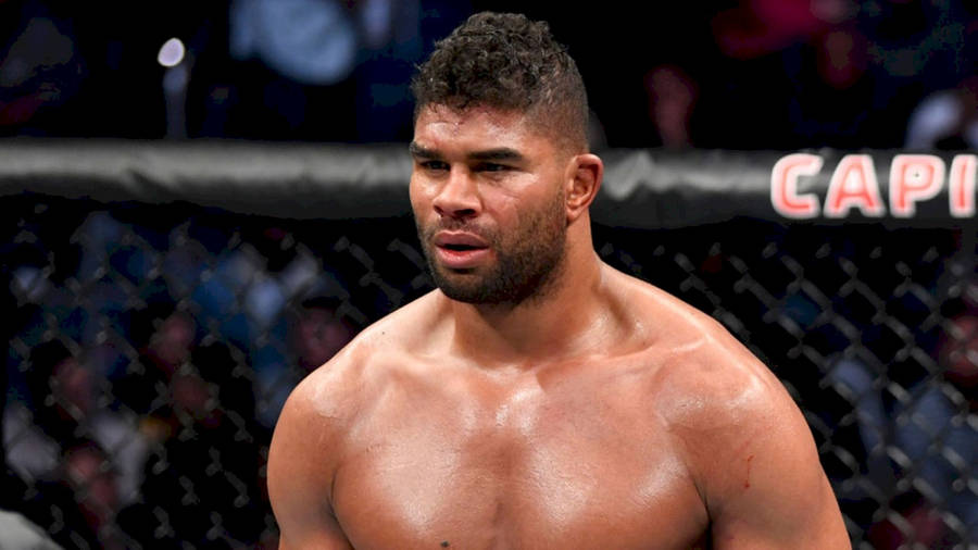 Amazing Alistair Overeem Bust Shot Wallpaper