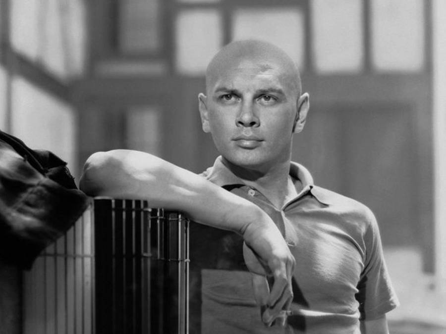 American Actor Yul Brynner 1956 Portrait Wallpaper