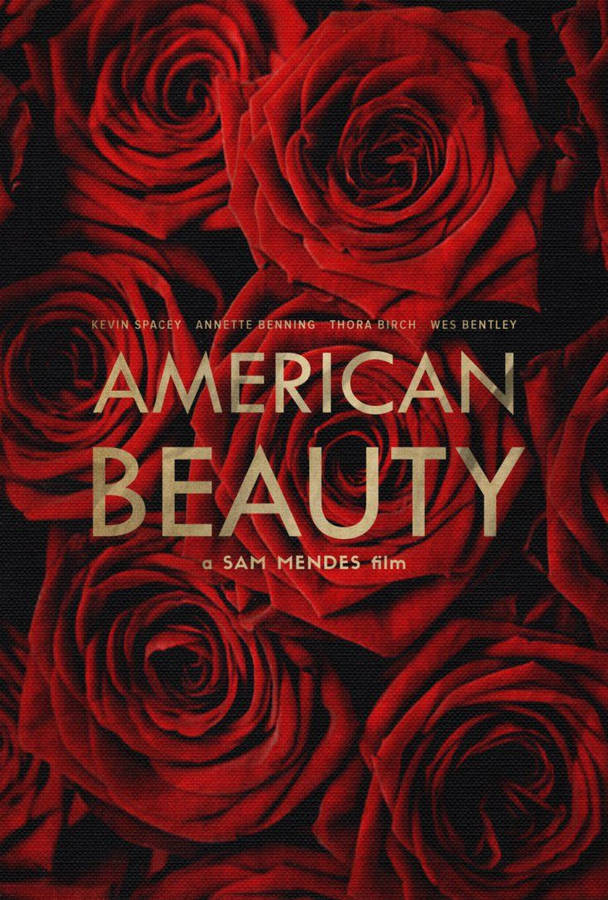 American Beauty Cover Photo Wallpaper