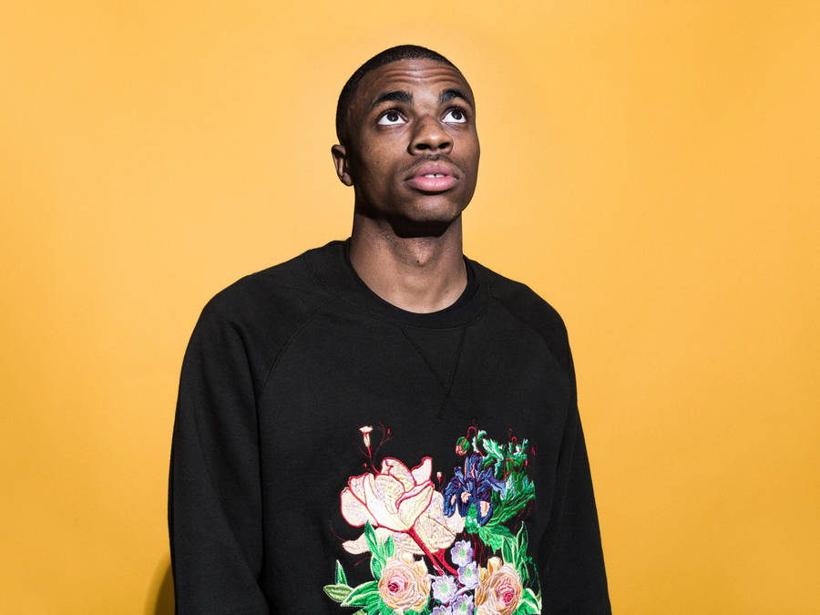 American Singer Vince Staples Wallpaper