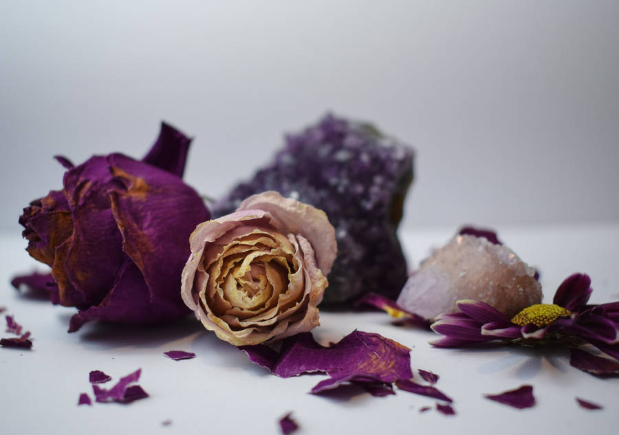Amethyst Geodes And Roses Wallpaper