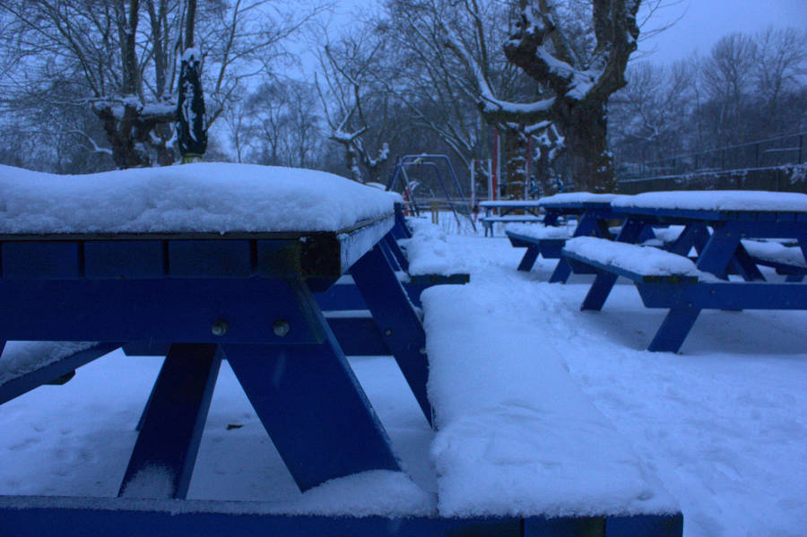 Amsterdam Vondel Park At Winter Wallpaper