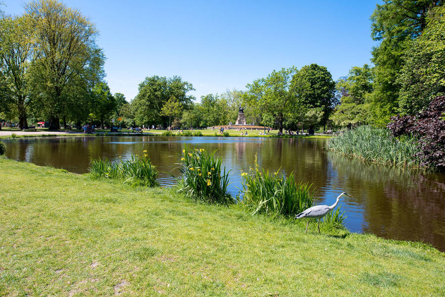 Amsterdam Vondel Park Pond Wallpaper