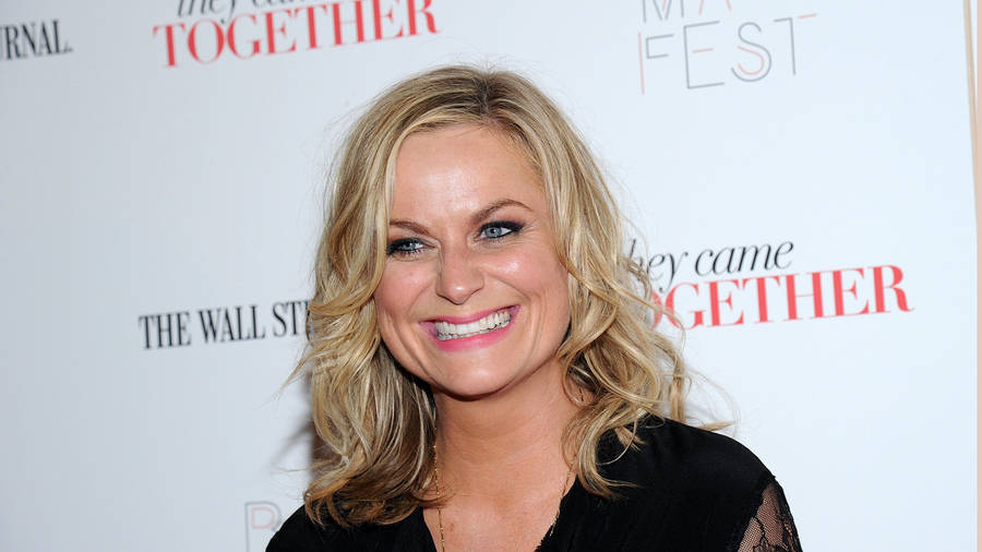 Amy Meredith Poehler Actress Wallpaper