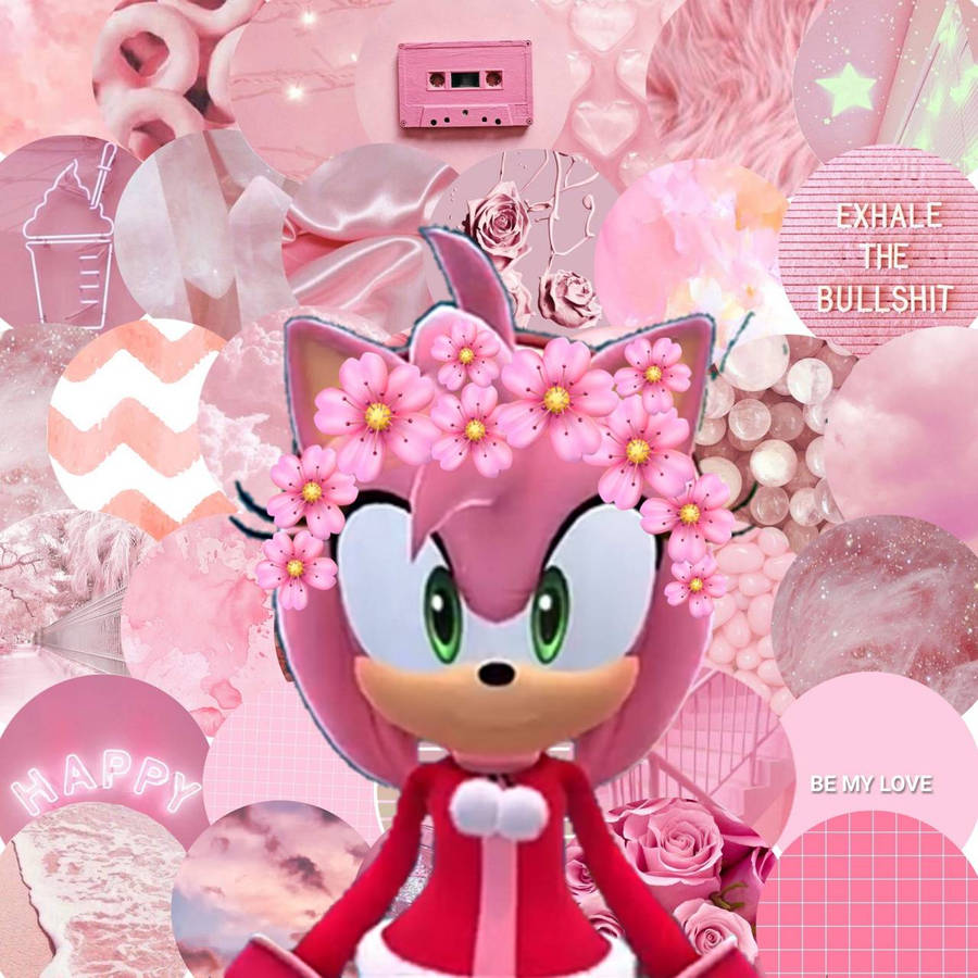 Amy Rose Girly Aesthetic Wallpaper