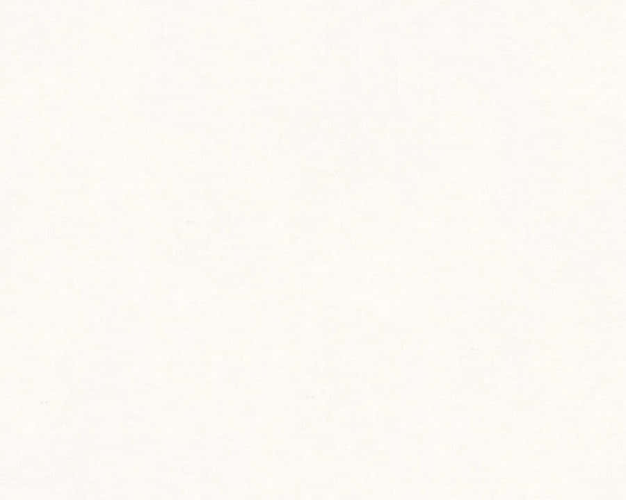 An Elegant And Soothing Cream-colored Wallpaper With Soft Gradient Effects Wallpaper