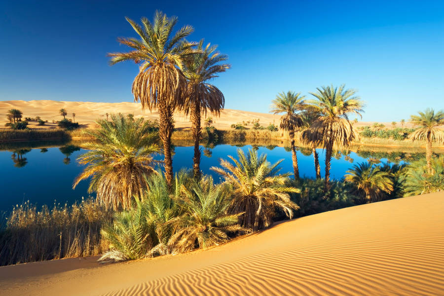 An Oasis In Mauritania Wallpaper