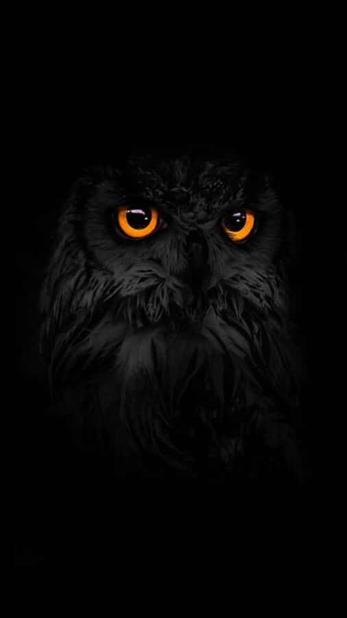 An Owl With Orange Eyes In The Dark Wallpaper