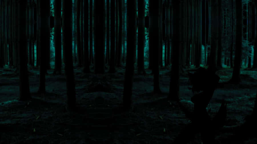 Ancient Moss-covered Redwood Trees In Dark Green Forest Wallpaper