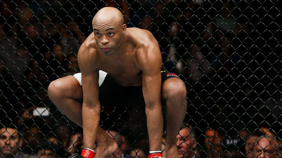 Anderson Silva Fists Ground Wallpaper