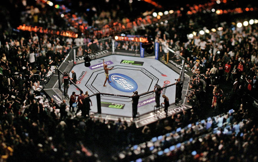 Anderson Silva Overhead Octagon Wallpaper