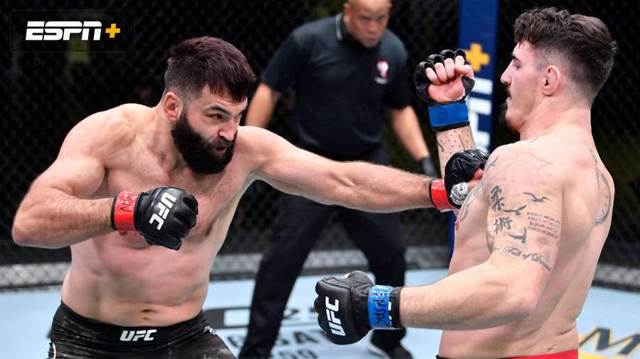 Andrei Arlovski And Jared Vanderaa Wallpaper