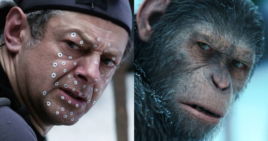 Andy Serkis As Ape Wallpaper