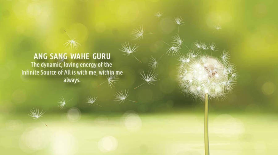 Ang Sang Waheguru With Dandelion Wallpaper