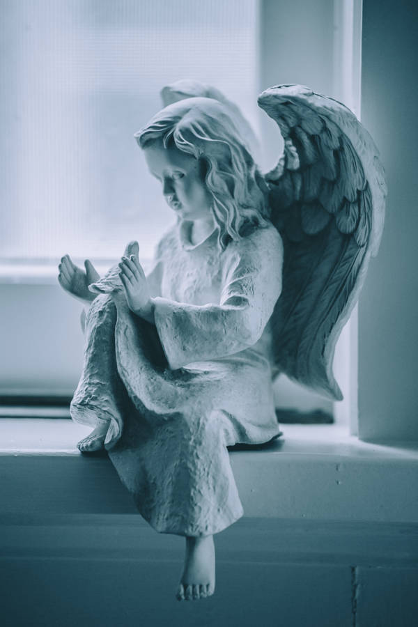 Angel 3648 X 5472 Wallpaper