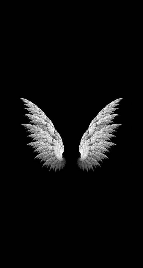 Angel Wings Simple Iphone Wallpaper