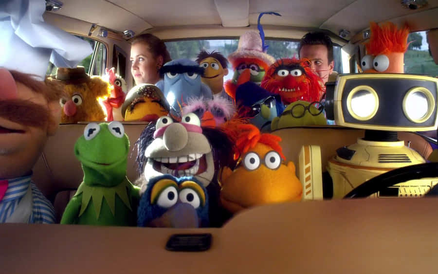 Animal Muppet Strikes A Pose Wallpaper
