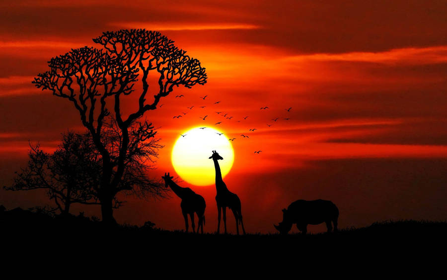 Animals Silhouette In Africa Wallpaper