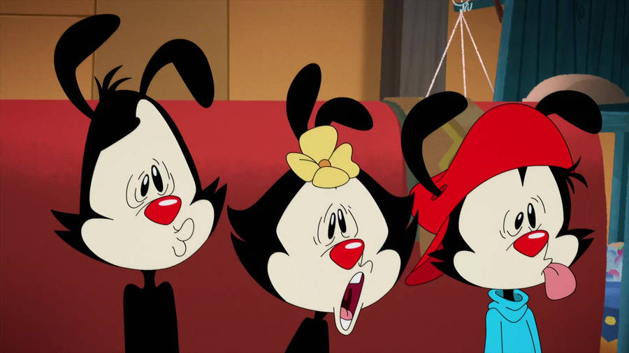 Animaniacs Anima Nyet Intro Wallpaper