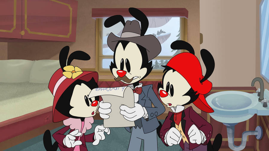 Animaniacs Warner Reading A Letter Wallpaper