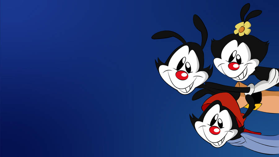 Animaniacs Warners Intro Peek Wallpaper