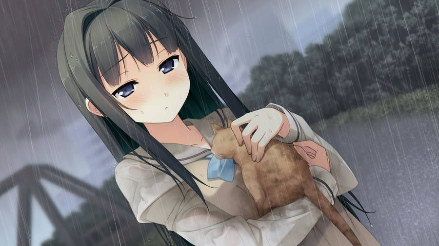 Anime Girl Holding Cat Nightcore Wallpaper