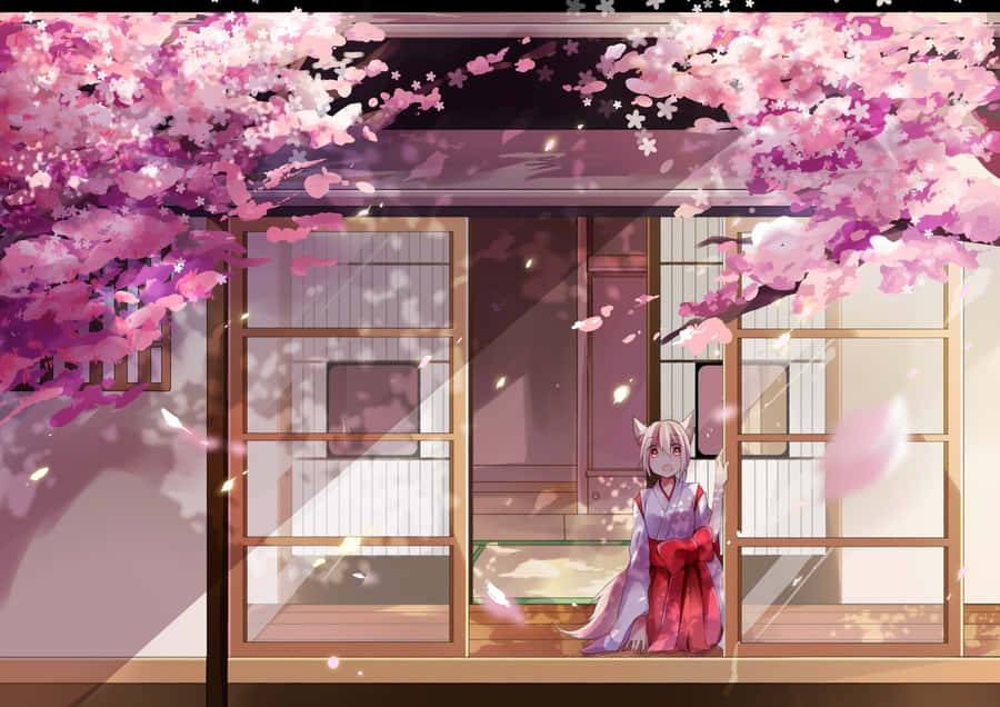 Anime Girl Under Cherry Blossoms Wallpaper