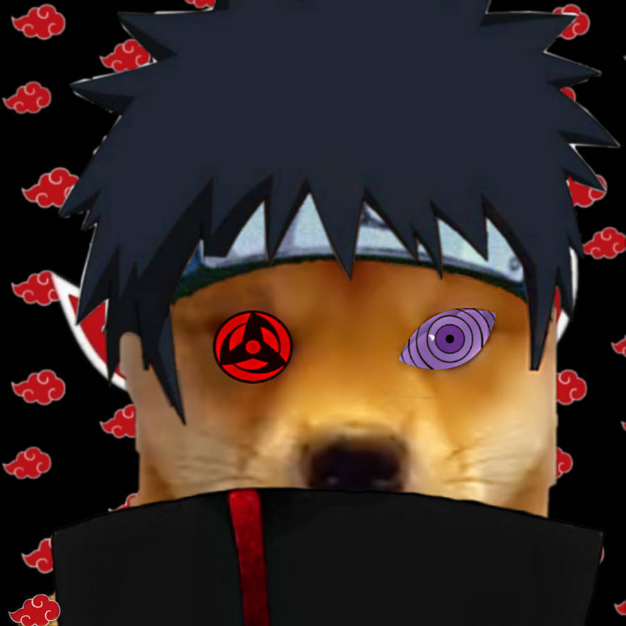 Anime Meme Pfp Shiba Dog Naruto Akatsuki Wallpaper