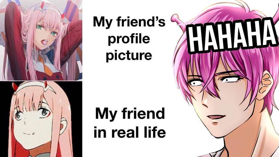 Anime Meme Profile Picture Wallpaper