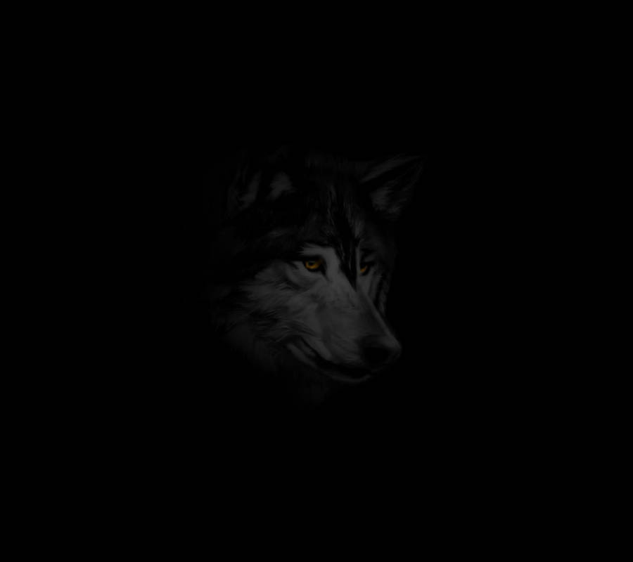 Anime Wolf Black And White In Dark Wallpaper