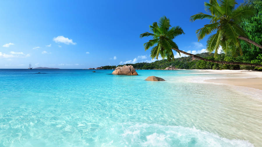 Anse Lazio Clear Sky Wallpaper