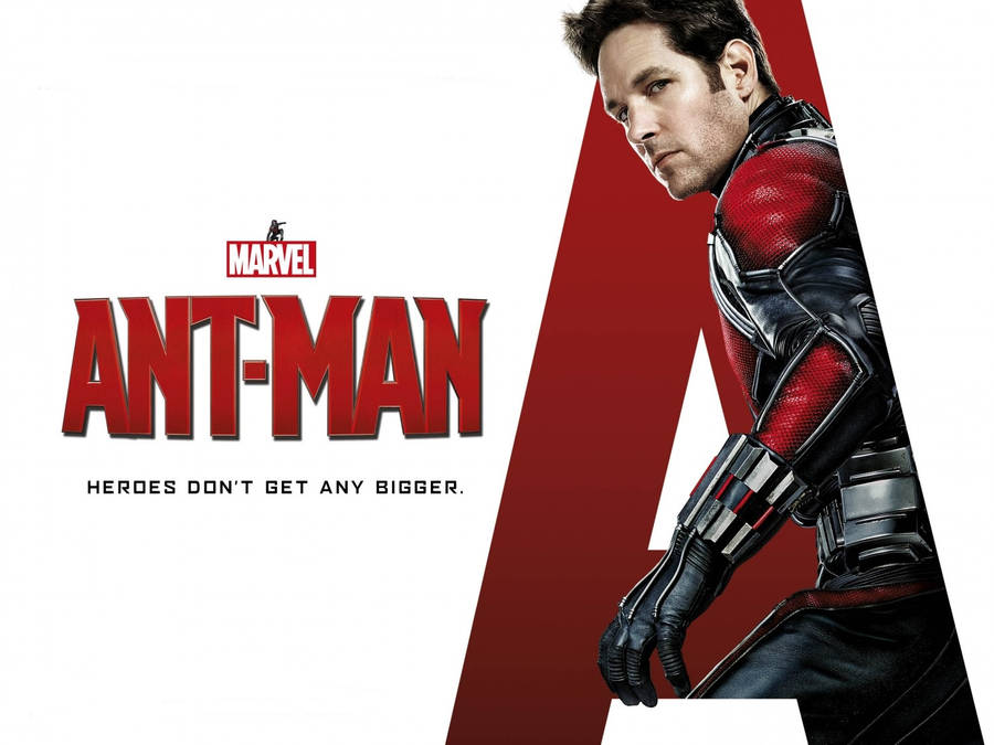 Ant Man Superhero Paul Rudd Wallpaper