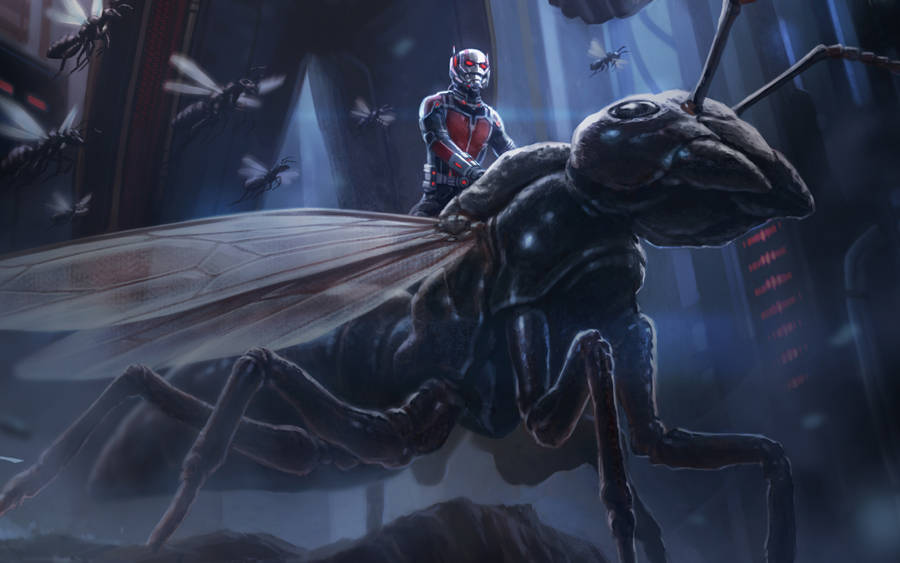 Ant Man Superhero Riding Wasp Wallpaper