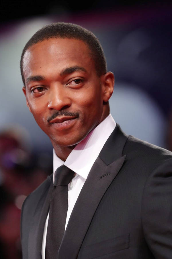 Anthony Mackie Look Wallpaper