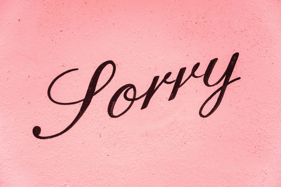 Apology_ Cursive_ Text_ Pink_ Background Wallpaper