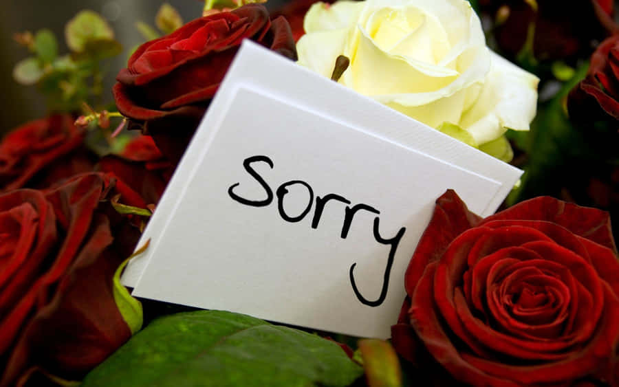 Apology Flowers Sorry Note Wallpaper